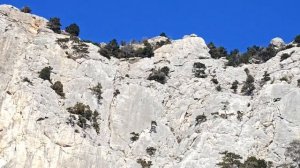 дорога Севастополь Ялта