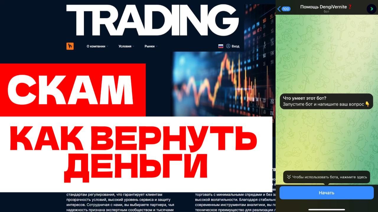 Werdy (werdy.net, wer-dy.site) обзор, отзывы. Обман?