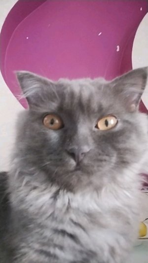 что ты называешь меня стерва