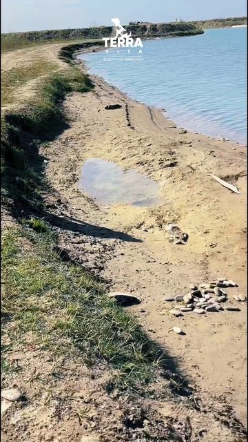 у нас были гости