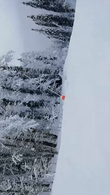 как узнать скорость