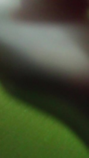 вы знали чтоо