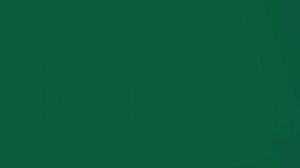 2 IN 1 (WII) Gameplay