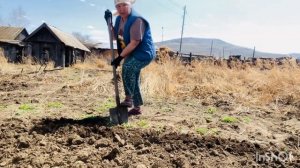 Публичный дом на рынке  обнаружила я для себя