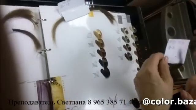 4 видео - Эксперимент с красителями