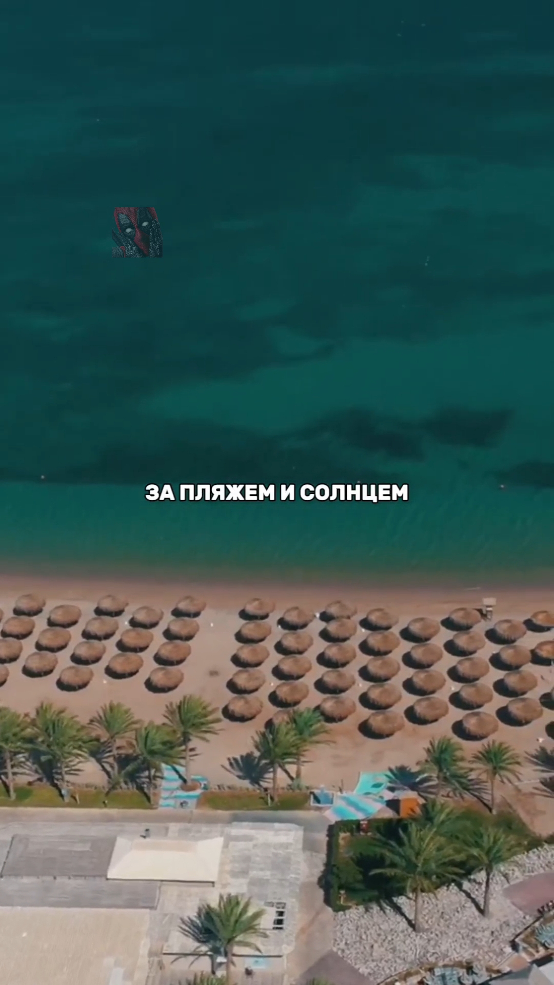 Вот и стоят там… как думаешь — кто? — Статуи Сфинксов — священных Котов 😼🫶😎