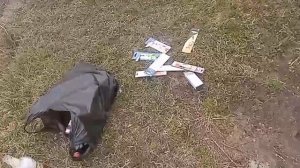 прогулка по речке