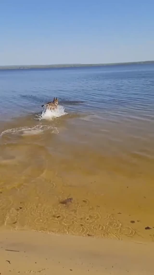 Валдай. Весна 2024г.