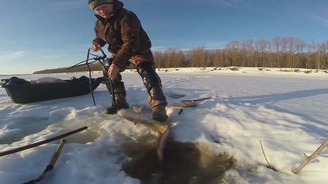Рыбалка в Сибири на Оби. Часть 96.