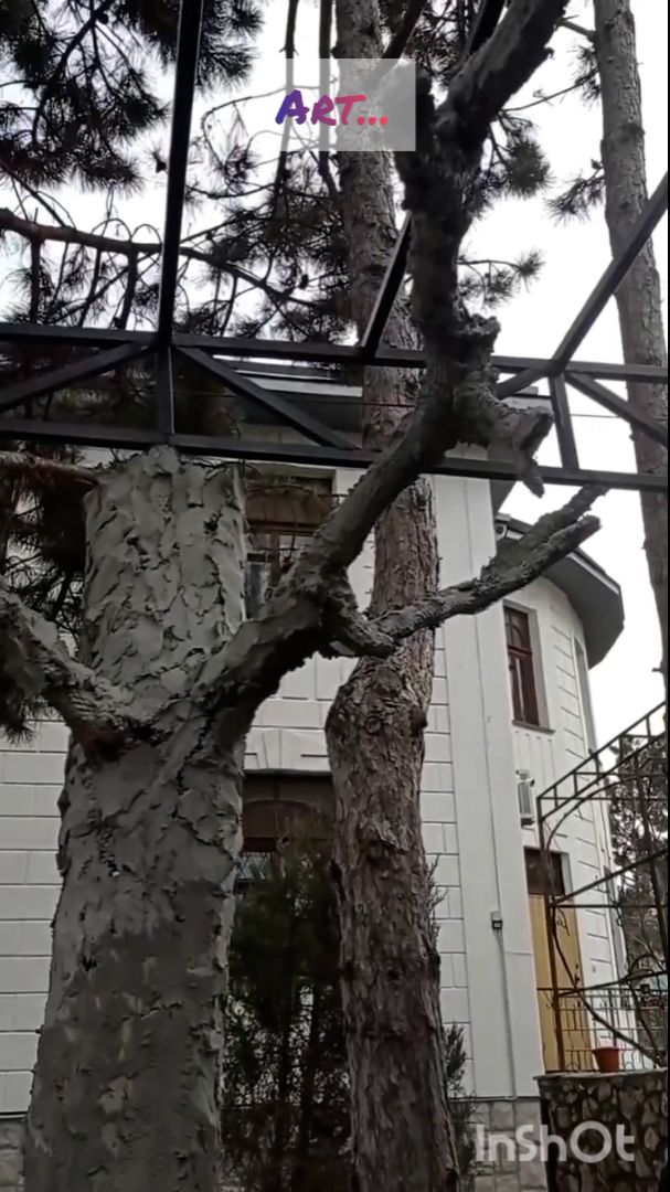 Что зоопарк что ли?