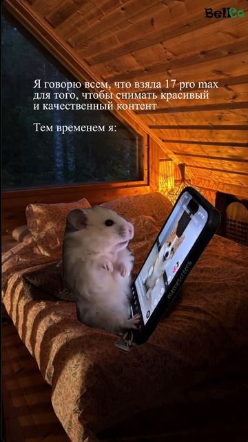 Ремонт продажа техники