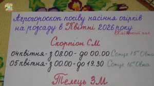 Апрель 2026: Самые Лучшие Дни Посадки Огурцов на Рассаду?!