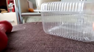 Краш-тест пластиковый формы от выпечки