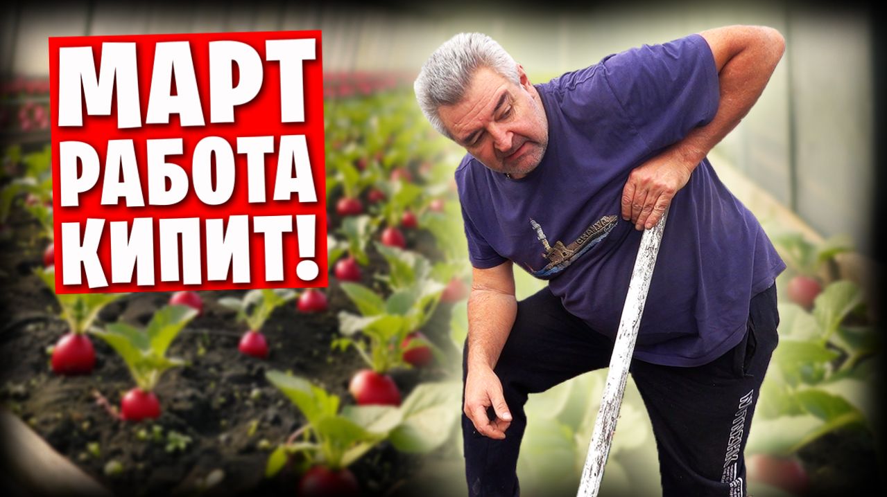 🥦 Мартовские работы в теплице / 🧆 Воскресный бифштекс