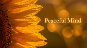 ✧ Почувствуй тишину внутри | Эмбиент музыка для глубокого покоя и расслабления