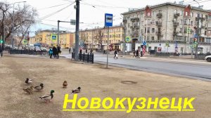 НОВОКУЗНЕЦК утки повсюду РЕКА АБА маршрут перестроен 😂 #город #жизнь #надеждажитина