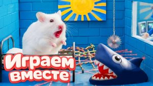 18 ХОМЯК ВЫБИРАЕТСЯ ИЗ СЕКРЕТНОЙ ХОМЯЧЕЙ ТЮРЬМЫ 🏁🐹🏆 Помогаем выбраться из лабиринта ! ч.3