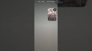 придумайте название