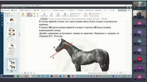 Линия 13 ОГЭ биология. Лошади