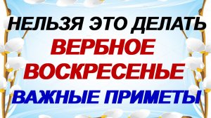 Традиции Вербного воскресенья.Что нельзя делать. Приметы и поверья.