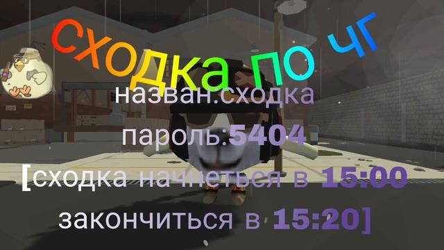 сходка по чгшке