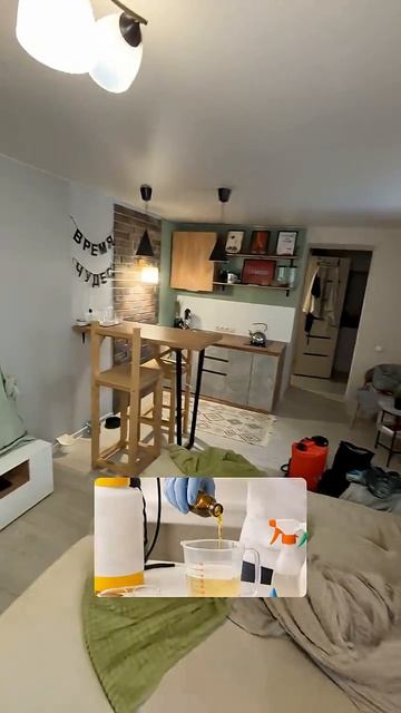 Блохи в квартире → 6500 ₽ за 10 минут | #shorts