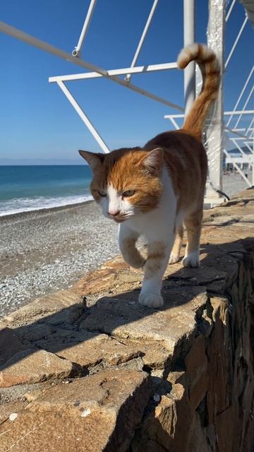 Маяк на берегу: красота природы #природа #маяк #пейзаж