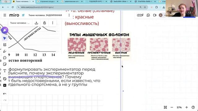 10: Ткани человека