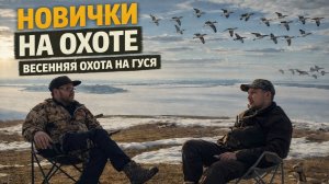 Охота для новичков: весенняя охота на гуся