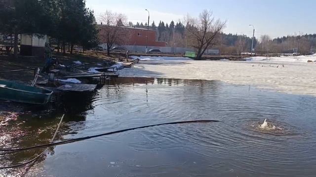 Утро 27.03.2026г. смотреть онлайн