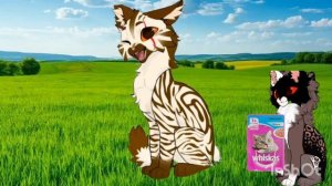 Вхвхвхвххвахаазазазвххв