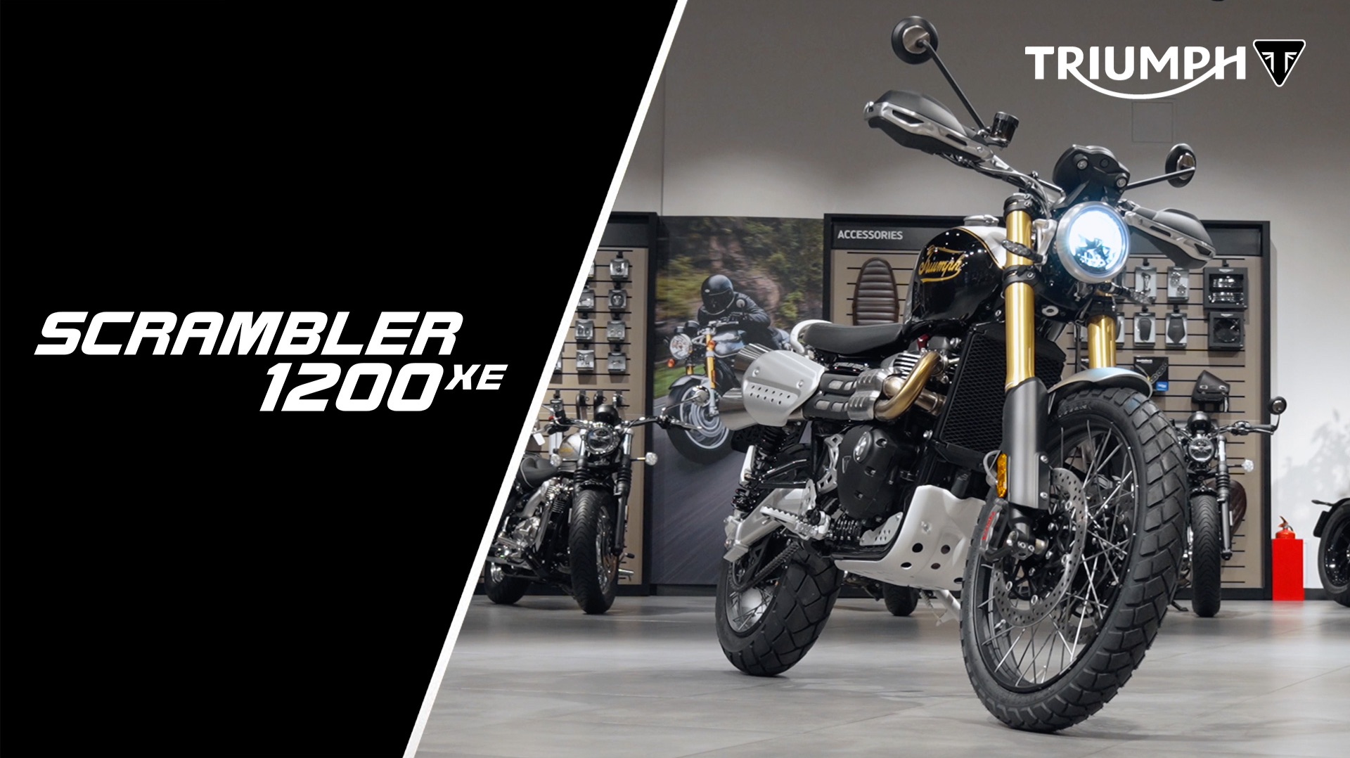 Triumph Scrambler 1200 XE Icon