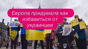 Шок от того, что пожелал украинец немцам и как отблагодарил Германию. #новости #беженцыизукраины