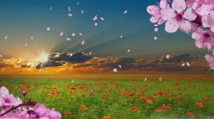 МУЗЫКА, ЧТОБЫ ОТДОХНУТЬ И УСПОКОИТЬСЯ