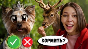 СОБАКА УПРАВЛЯЕТ НАШИМ ДНЁМ 24 ЧАСА! ЧЕЛЛЕНДЖ для Анюты, Андрея и Алисы