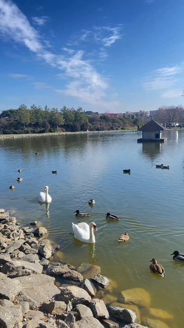 Район "Немецкая деревня" в Краснодаре