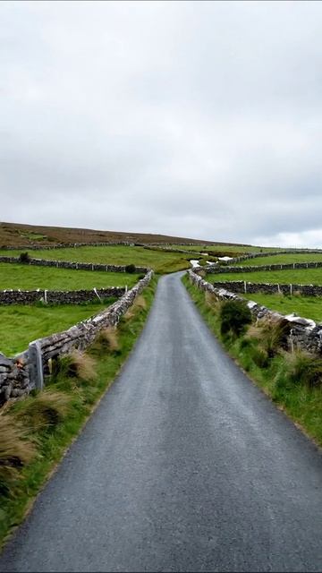 Спокойная дорога в прекрасной природе #природа #пейзаж #день