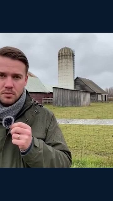 #новостиРоссии #фермеры #ящур #эпидемия