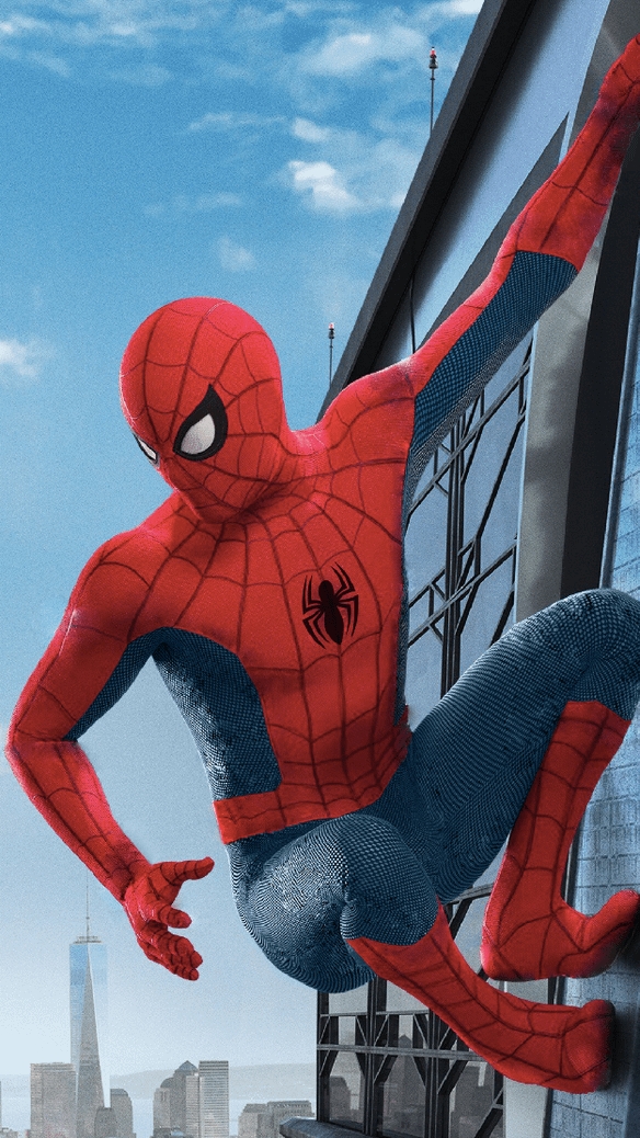 У пауков три цикла 🕸️