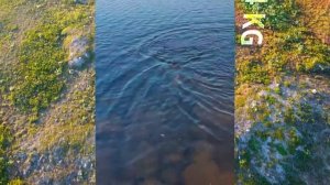 Красивая природа Норвегии. Рыбалка в Норвегии.