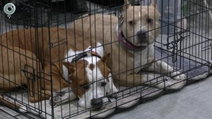 НОВОСТИ УТРА – 27 марта 2026