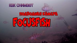 Подводная камера FocusFish, мой первый тест на водоёме !
