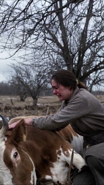 Тихая печаль: прощание с другом #печаль #сельскаяжизнь #скот