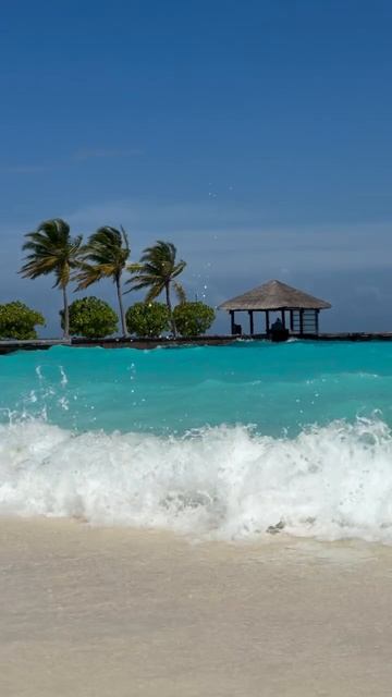 Зачем богачу бизнес на Дальнем Востоке, если сам он живёт где-то в Австралии?🤔