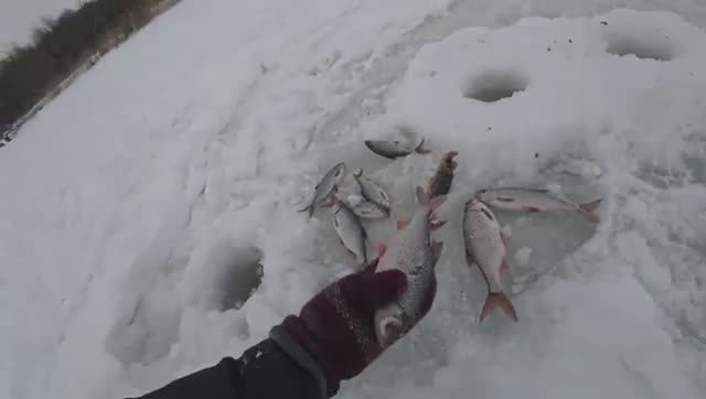 КЛЮНУЛ РЕАЛЬНЫЙ КРУПНЯК! СНАСТИ НЕ ВЫДЕРЖИВАЮТ! Зимняя рыбалка на удочку с мормышкой.