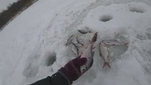 КЛЮНУЛ РЕАЛЬНЫЙ КРУПНЯК! СНАСТИ НЕ ВЫДЕРЖИВАЮТ! Зимняя рыбалка на удочку с мормышкой.