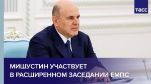 Мишустин участвует в расширенном заседании ЕМПС