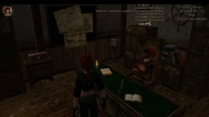 Корсары,воюю,зарабатываю деньги,улучшаю корабль.