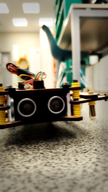 Гексапод Валера