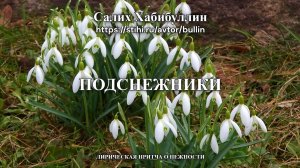 Подснежники